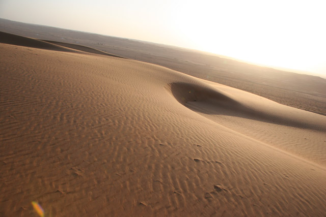 Wahiba Sands