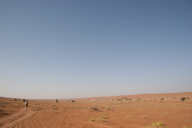 Wahiba Sands