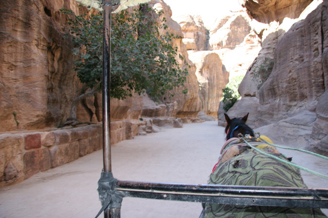 Petra