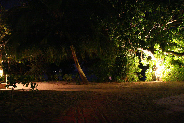 Aftenlyset foran hytten